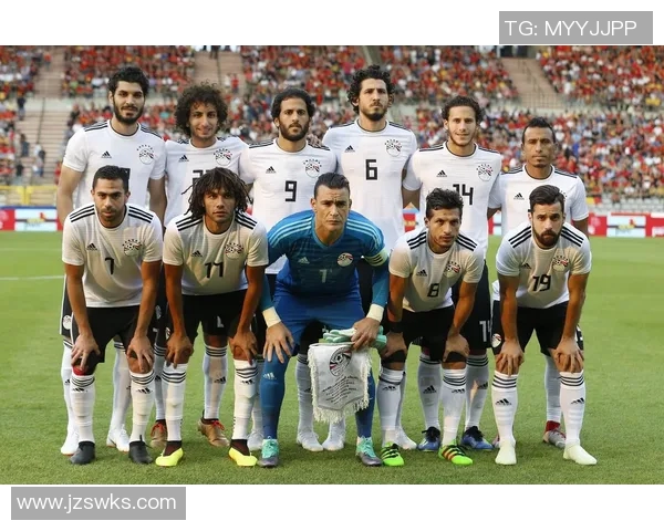 埃及足球球星身高对比赛表现的影响与分析