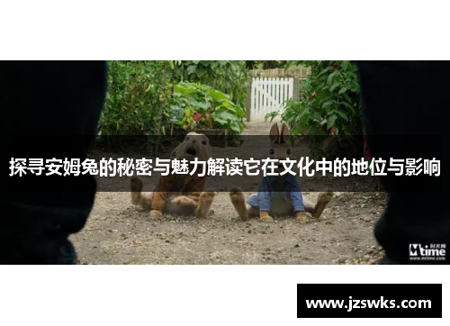 探寻安姆兔的秘密与魅力解读它在文化中的地位与影响