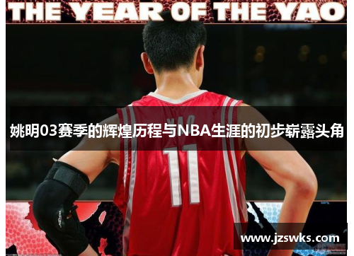 姚明03赛季的辉煌历程与NBA生涯的初步崭露头角